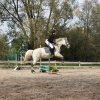 bABIE lATO 2018